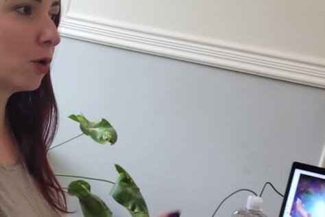 Apoio Psicoemocional - Harpia Diversidade