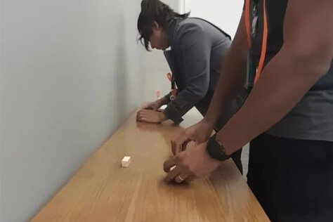 Workshop - Harpia Diversidade